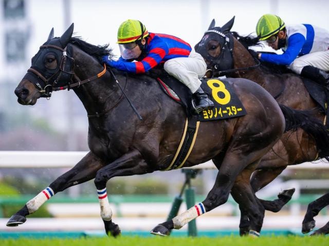 【2025年北九州記念】注目の枠順発表！ヨシノイースターとロードフォアエースの勝負を徹底分析
