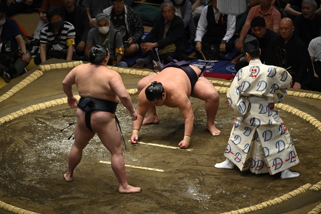 大相撲名古屋場所で「白鷺の姉御」が再び注目！神野大地の祖母との特別な絆