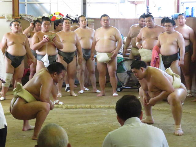 横綱同士の火花！豊昇龍と大の里の異例三番稽古で勝敗が明らかに