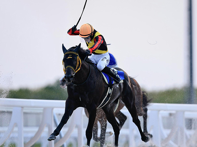 函館2歳S：スペシャルチャンスと落合玄太騎手の再起を目指す20年ぶりの勝利