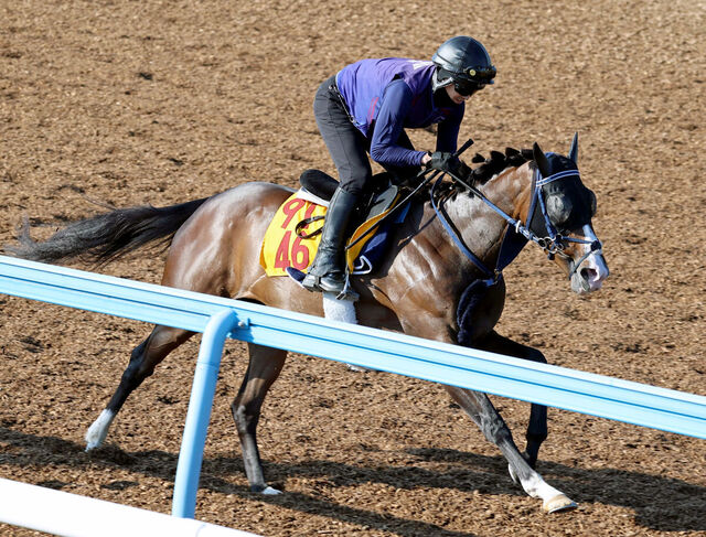 【第60回関屋記念】ボンドガール×カナテープ 最強牝馬対決！ 枠順確定で見える勝負の行方