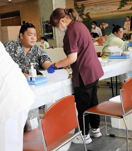 大栄翔、休場からの復活へ！三役陥落を乗り越え大関目指す闘志