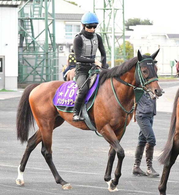 パンジャタワー、秋の飛躍に向けてキーンランドCに挑戦！豪遠征前の重要な一戦