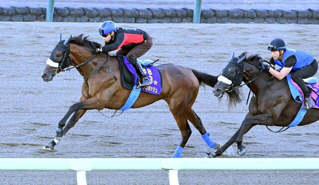 【札幌記念】ステレンボッシュ、新コンビ池添と共に復活の狼煙を上げる