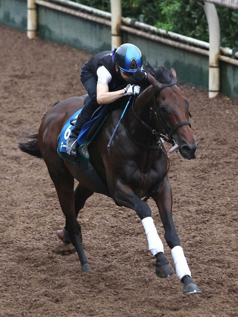 【中京記念】キープカルムの圧巻パフォーマンス！松山弘平と新タッグで勝利を目指す